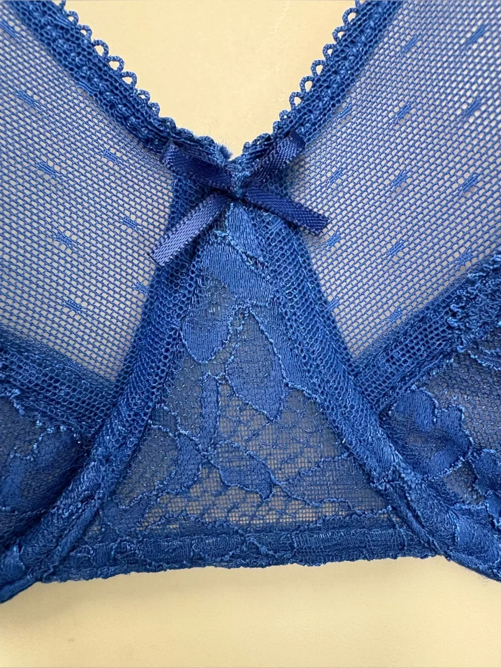 NWT HSIA 34DDD 75F Blue Floral Lace Underwire Bra Unlined Sheer Lingerie
